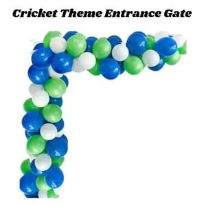 Cricket Theme Entrance Gate