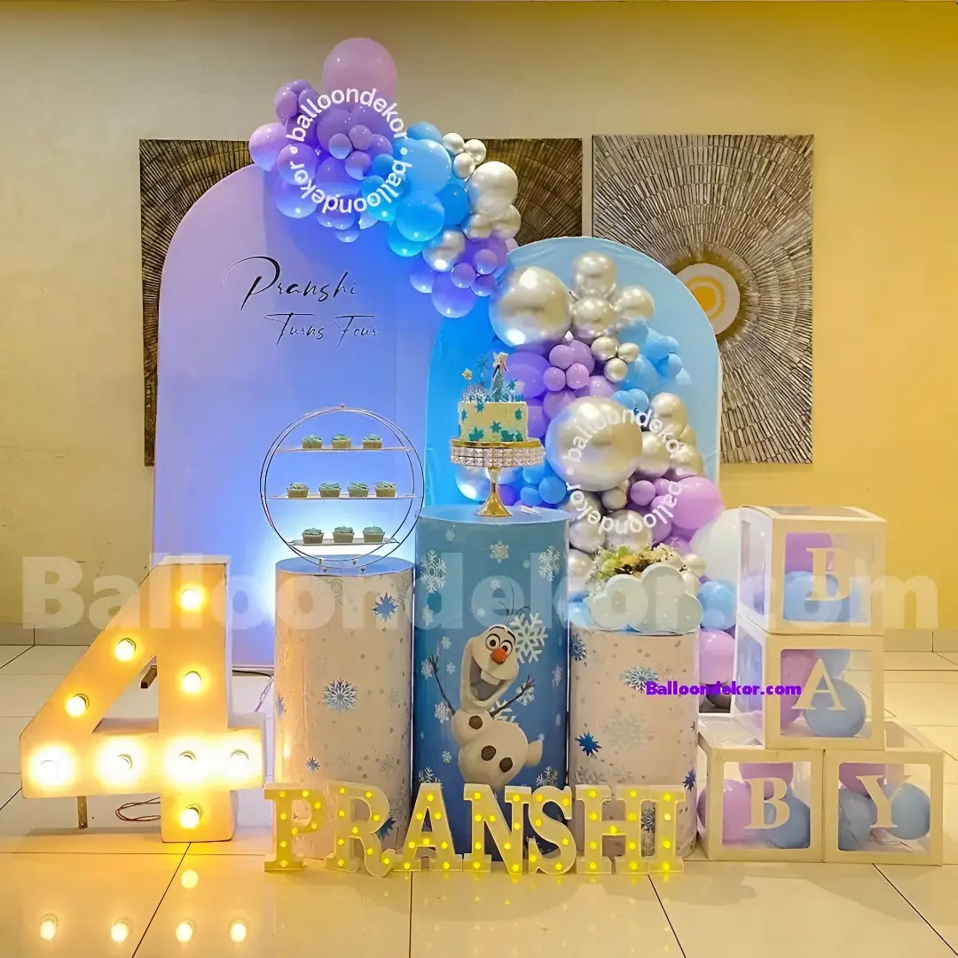 Frozen Theme Kids Birthday Setup — Frozen Theme Decoration