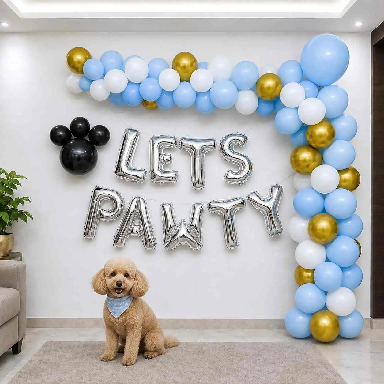 Simple Lets Pawty Pet Birthday Decoration — Pet Birthday Decoration for Dogs & Cats
